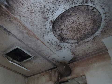 化粧シート施工前2